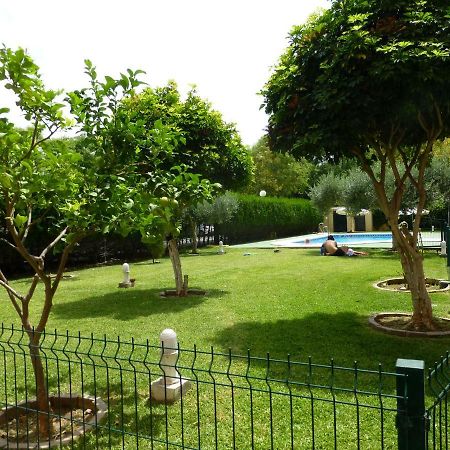 Milenium Palace - Garaje Incluido - Piscina-Fibes Sevilla Eksteriør billede